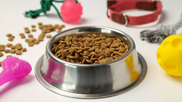 Laufender Online Shop im Heimtierbedarf zu verkaufen