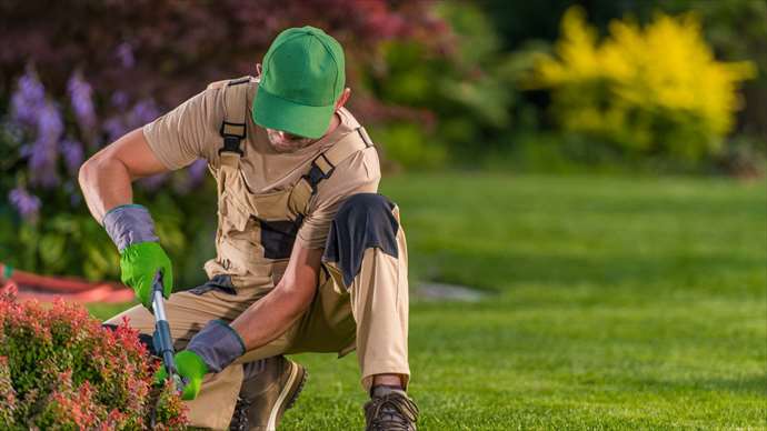 Unternehmensnachfolge im Gartenbau – Jetzt Ihre Zukunft gestalten